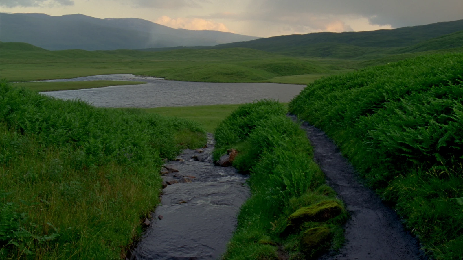 Lush Highland hills and a stream opening onto the loch